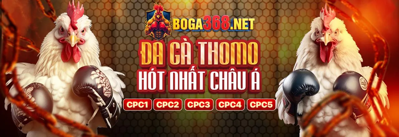 Đăng nhập bong dalu nhanh chóng và an toàn
