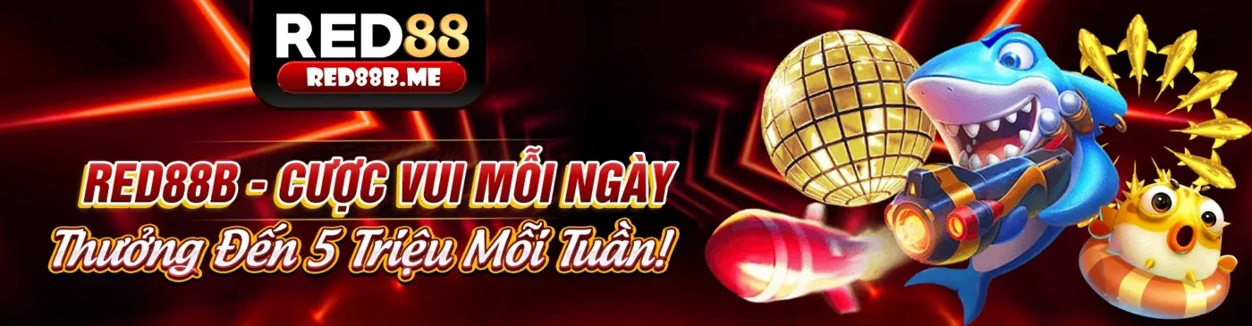 Tải ứng dụng bong dalu - trải nghiệm giải trí đỉnh cao 2026
