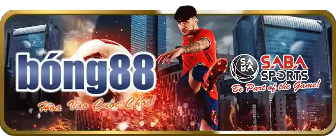 Hướng dẫn đăng ký bong dalu bước 2